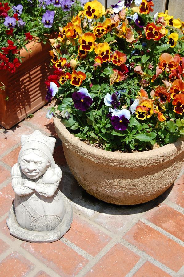 סנטה ברברה Cheshire Cat Inn & Cottages מראה חיצוני תמונה