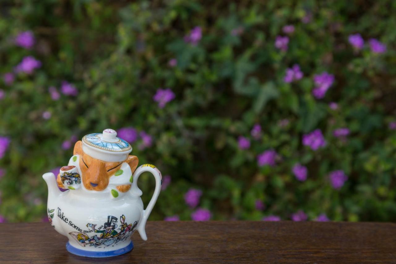 סנטה ברברה Cheshire Cat Inn & Cottages מראה חיצוני תמונה